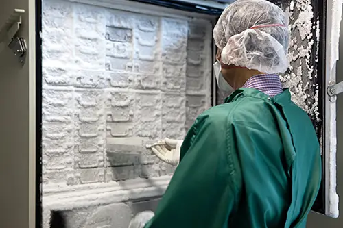 Snap frozen tissue samples are stored in freezers