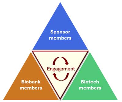 Sponsors interact with biobanks and biotechs on the platform